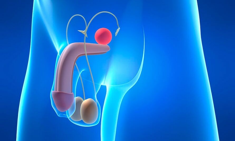 otok prostaty s prostatitidou